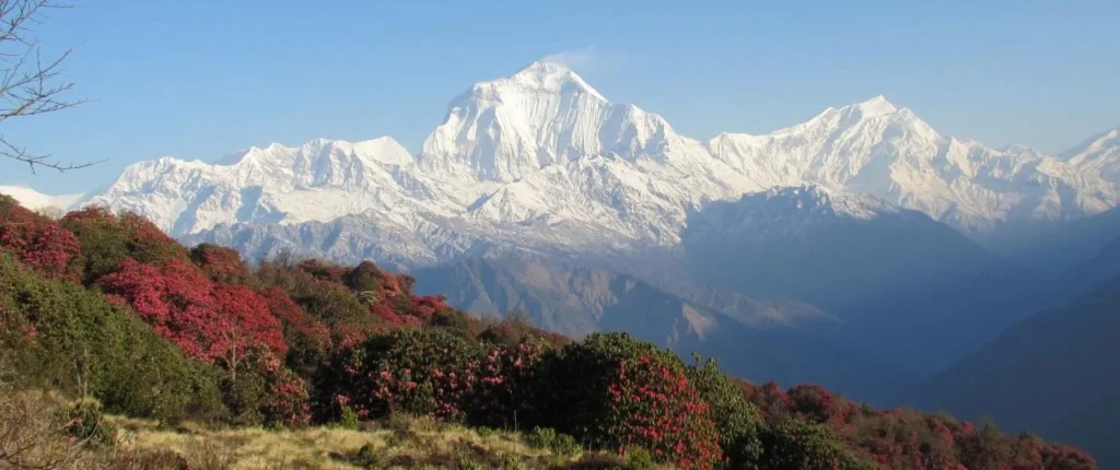 How to Choose a Best and Reliable Trekking Agency in Nepal