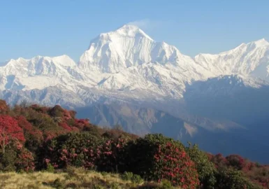 Nepal Vacation Tour