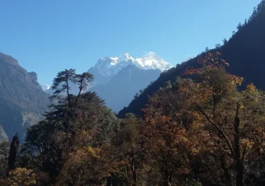 Royal Trekking in Annapurna
