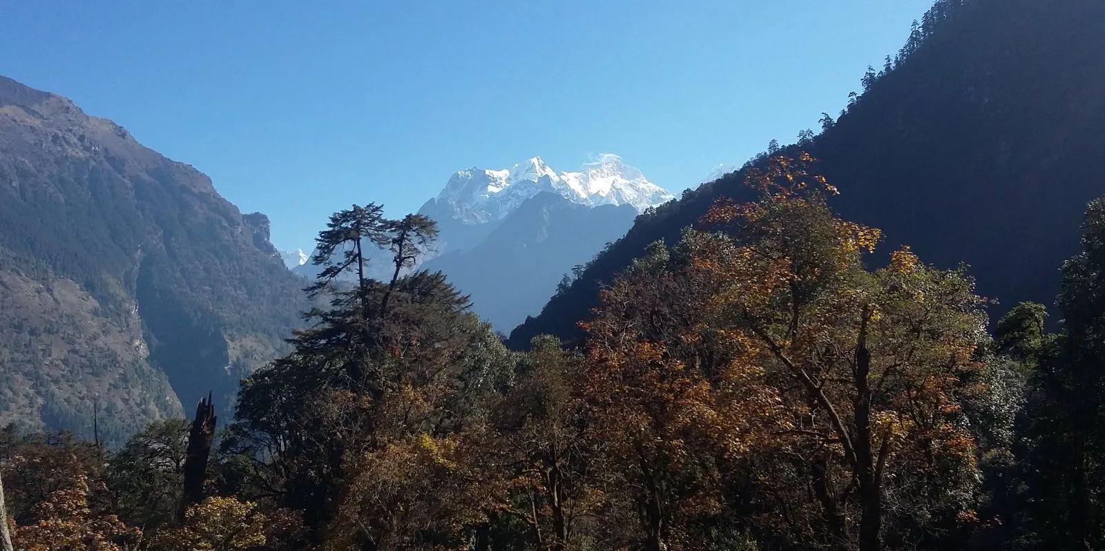 Royal Trekking in Annapurna