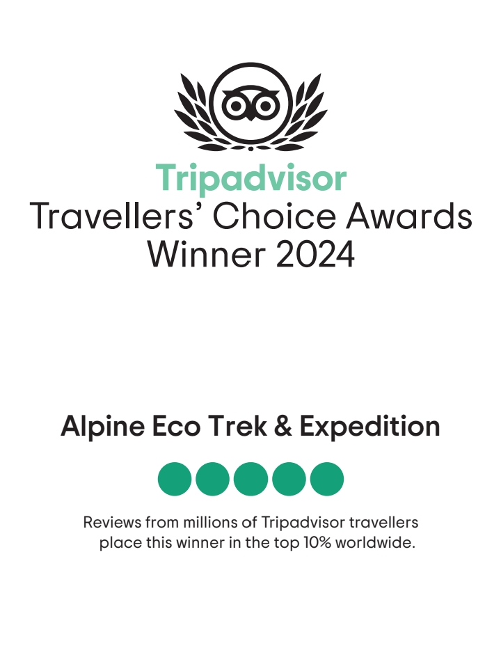 trip-advisor